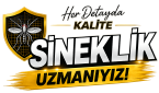 footer-logo